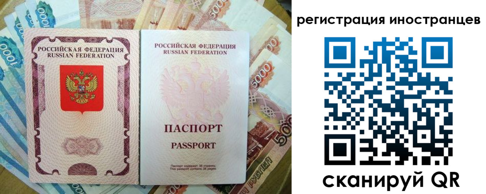 пропишу в квартире в Сельцо